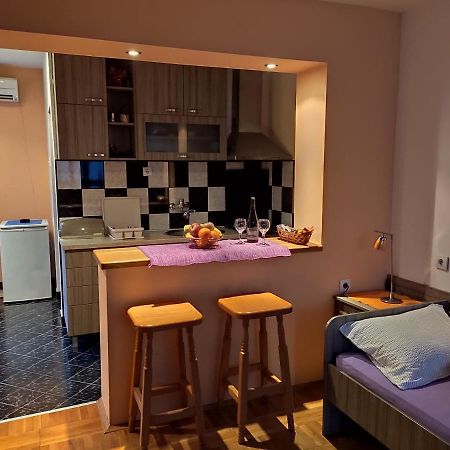 Apartman Ristic Niska Banja Ngoại thất bức ảnh