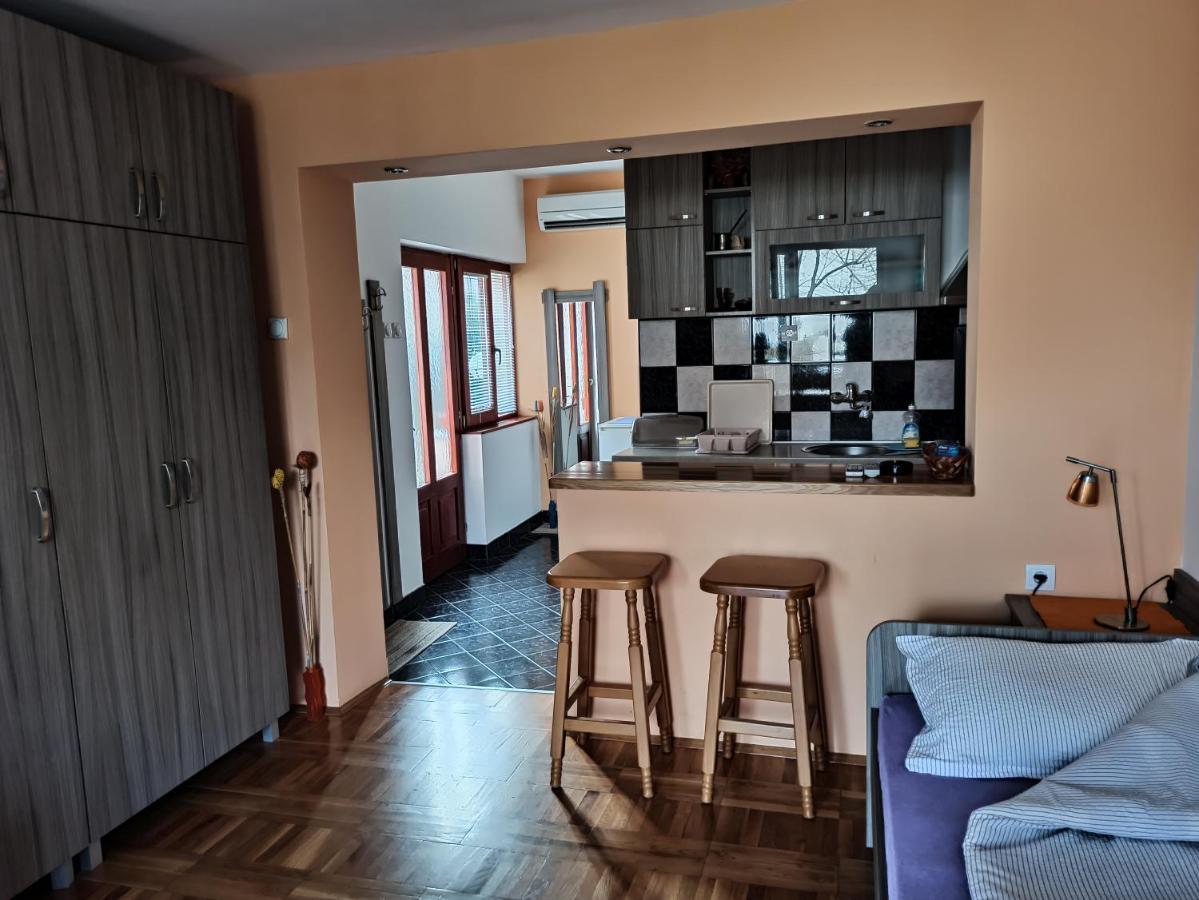 Apartman Ristic Niska Banja Ngoại thất bức ảnh
