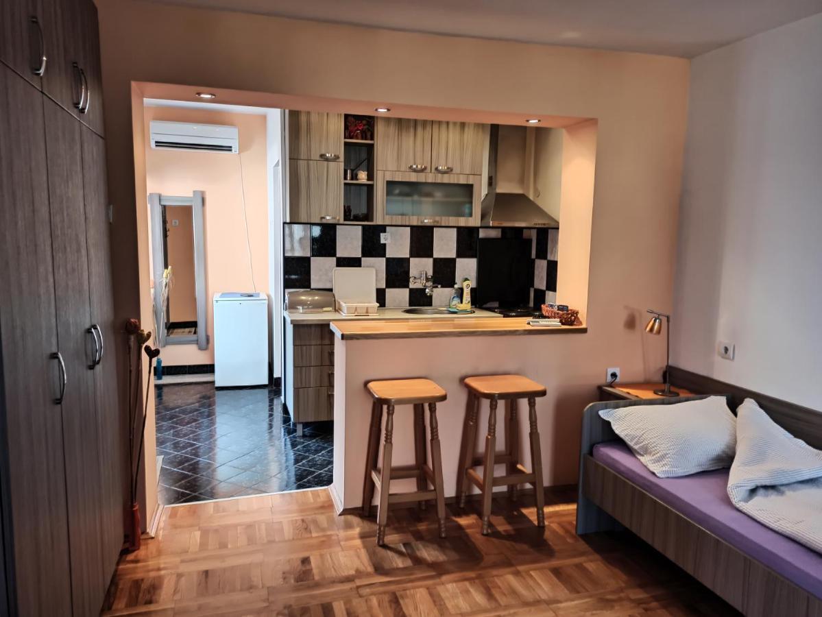 Apartman Ristic Niska Banja Ngoại thất bức ảnh
