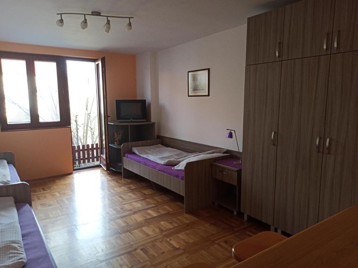 Apartman Ristic Niska Banja Ngoại thất bức ảnh