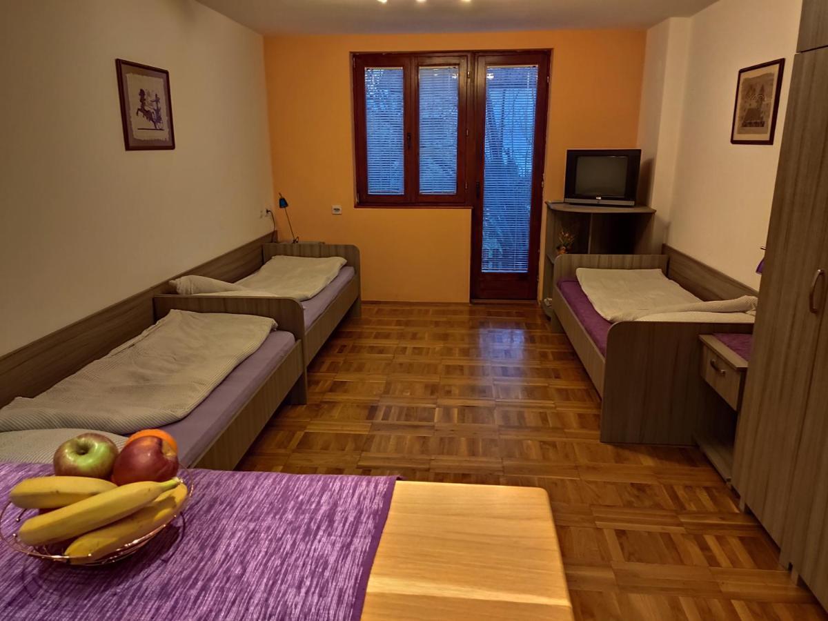 Apartman Ristic Niska Banja Ngoại thất bức ảnh